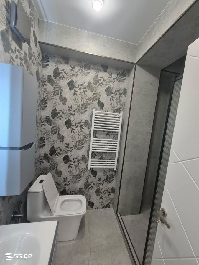 2-комнатная квартира в Тбилиси, Надзаладеви, фото 10