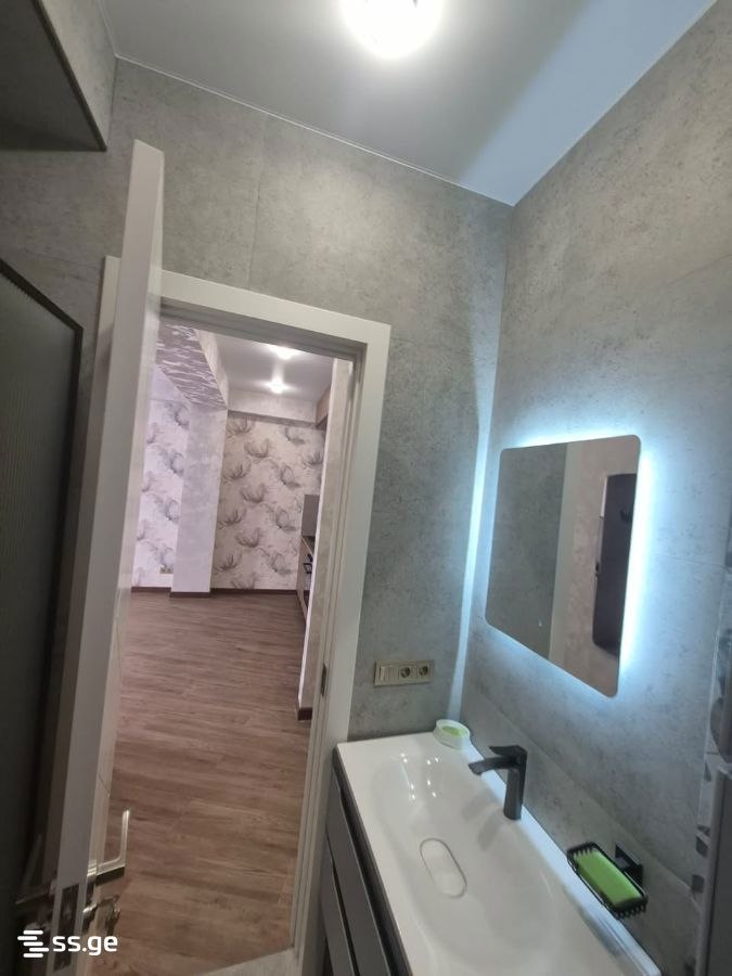 2-комнатная квартира в Тбилиси, Надзаладеви, фото 7