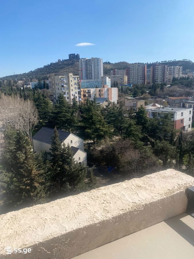 2-комнатная квартира в Тбилиси, Надзаладеви, фото 2