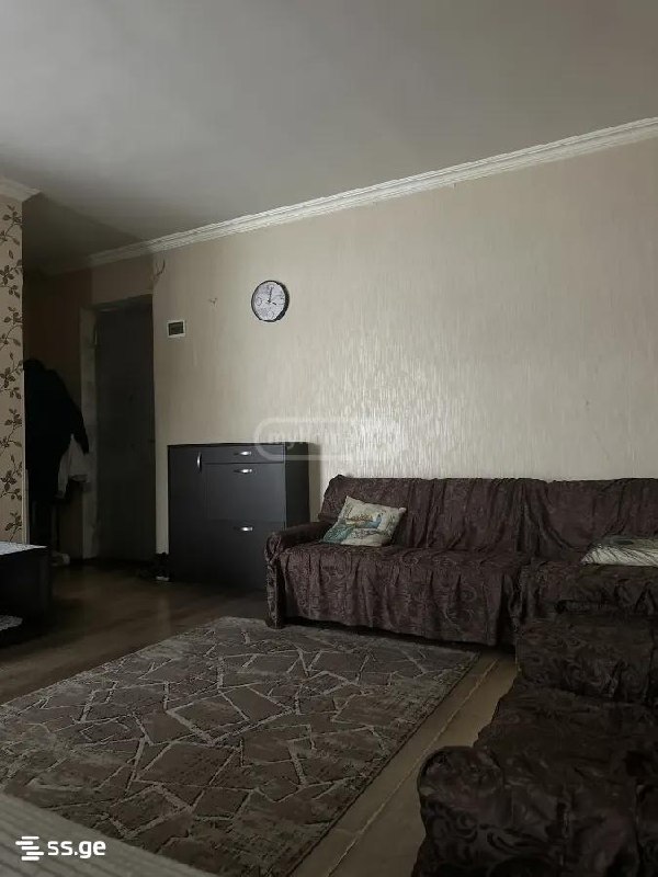 1-комнатная квартира в Тбилиси, Надзаладеви, фото 2