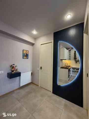 2-комнатная квартира в Тбилиси, Самгори, фото 6