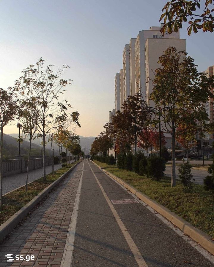 2-комнатная квартира в Тбилиси, Исани, фото 10
